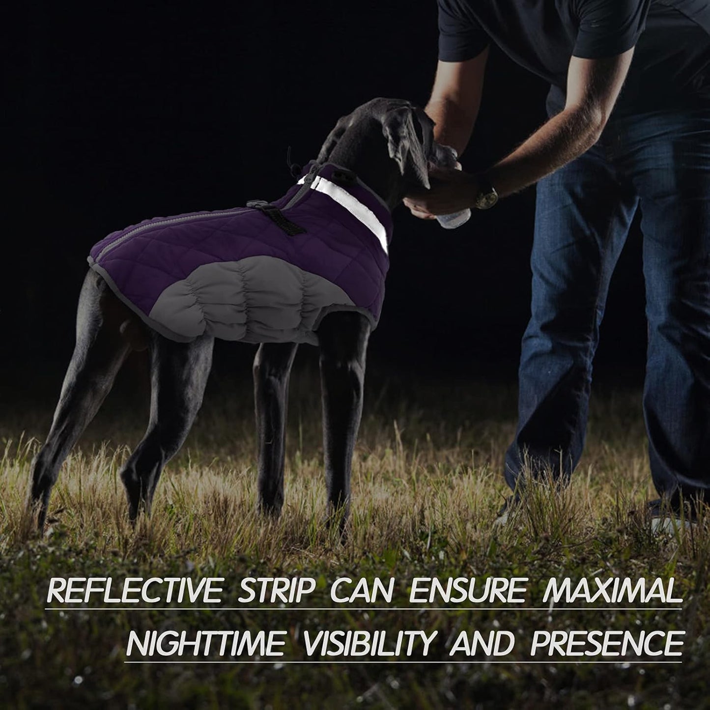 FUAMEY Dog Coat for Medium Dogs,Waterproof Dog Winter Jacket with Harness Built in Puppy Cold Weather Coats Reflective Pet Vest with Zipper Warm Fleece Dogs Snowsuit Windproof Purple M