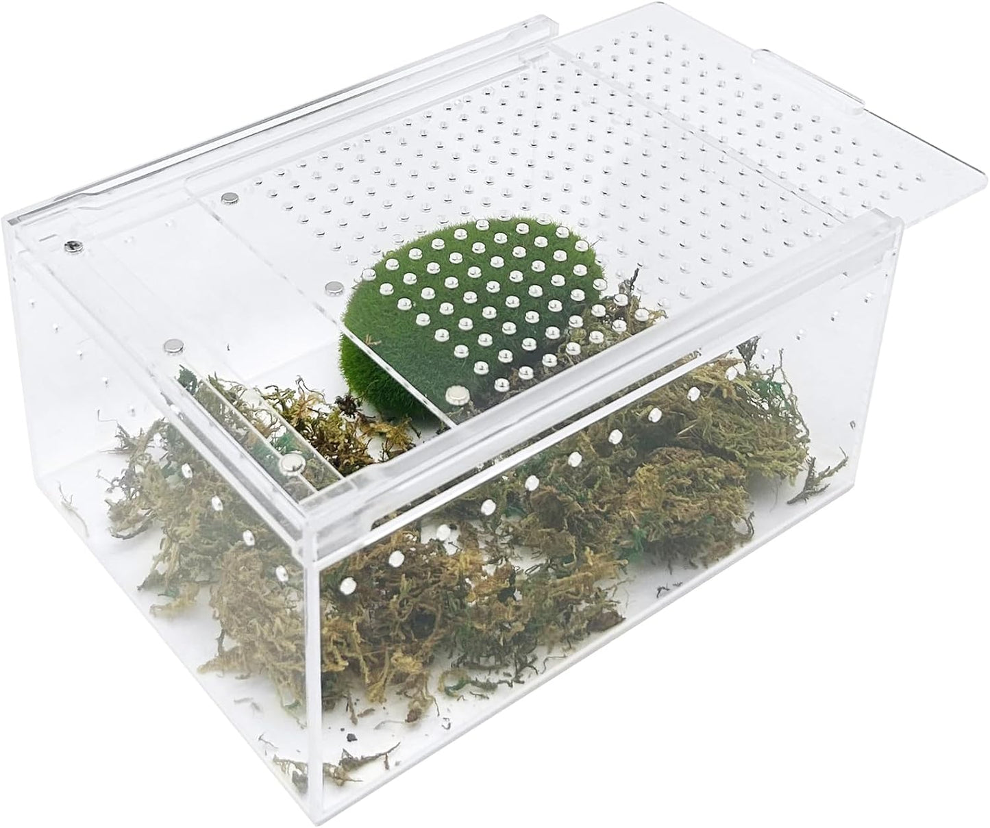 Reptile Terrarium Enclosure 8"x6"x4" Acrylic Tarantula Breeding Box Magnetic Hermit Crab Habitat Tank Transparent Jumping Spider Cage for Lizard Scorpion Sling Isopods Invertebrates Insect