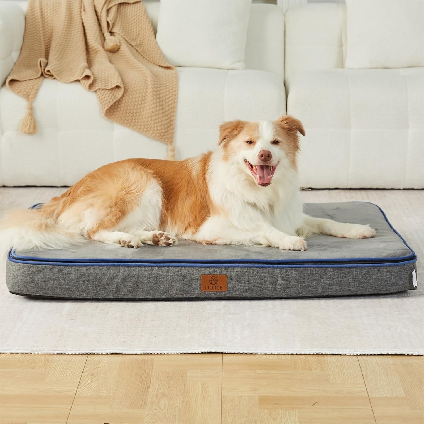 Memory Foam XL Dog Bed - 4” Thick Orthopedic Beds for Extra Large Dogs - Waterproof Dog Bed with Removable Washable Cover & Wrap-Around Zipper - Ultimate Comfort and Easy Maintenance