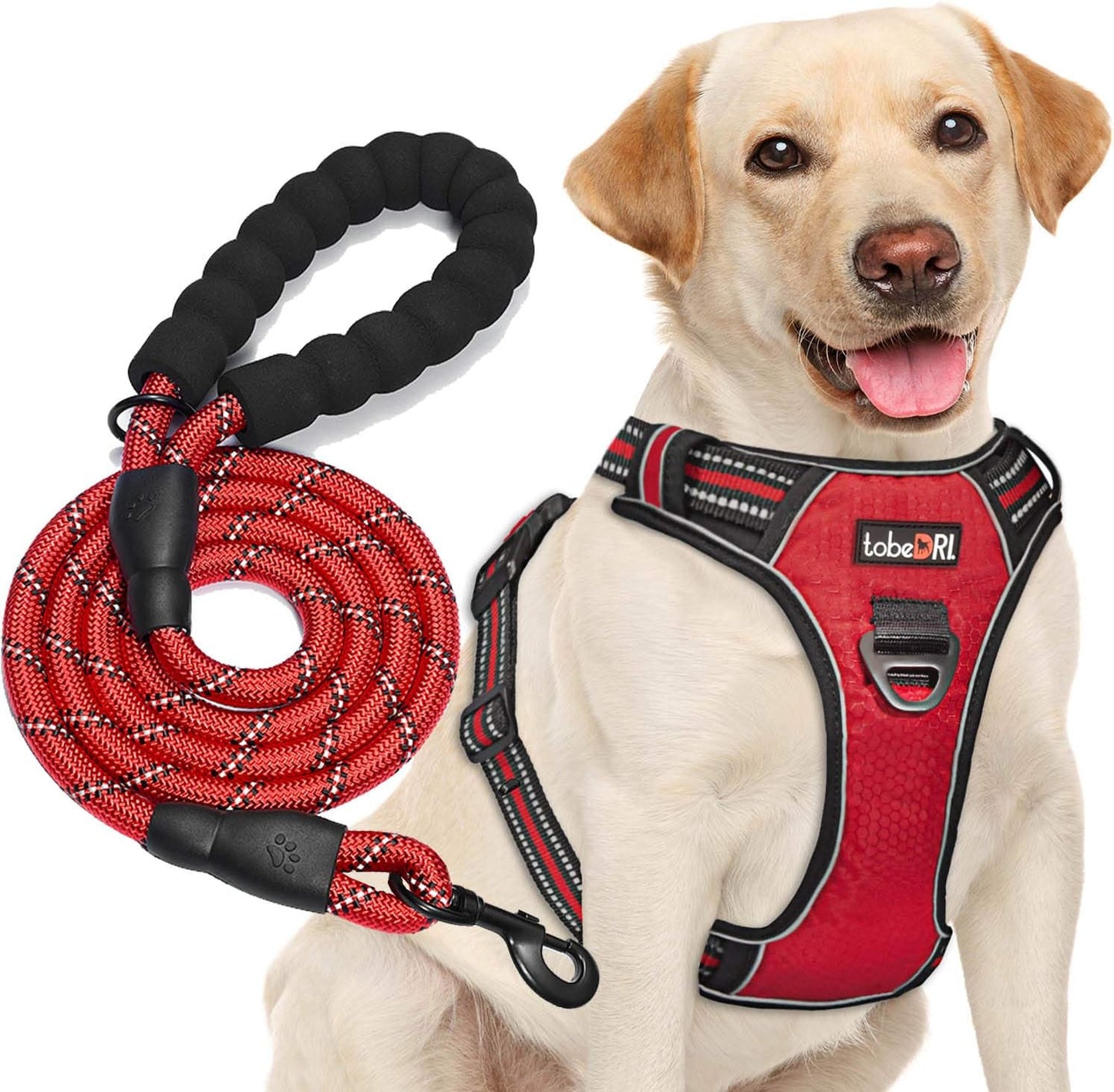 No Pull Dog Harness Adjustable Reflective Oxford Easy Control Medium Large Dog Harness with A Free Heavy Duty 5ft Dog Leash (M (Chest: 22"-26"), Red Harness+Leash)
