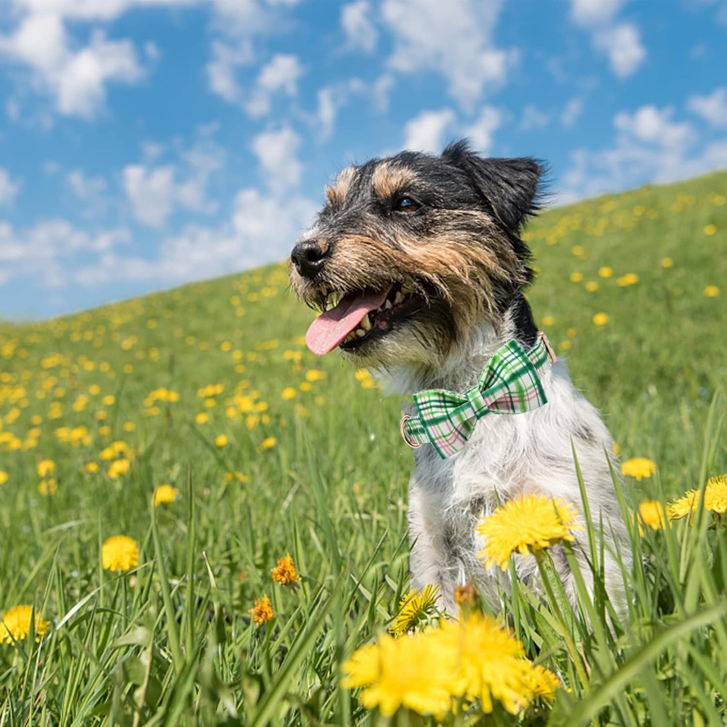 Elegant little tail Dog Collar with Bow - Pink with Green Plaid Boy or Girl Dog Collar Cute Bowtie Pet Collar Adjustable Dog Collar for Large Dogs