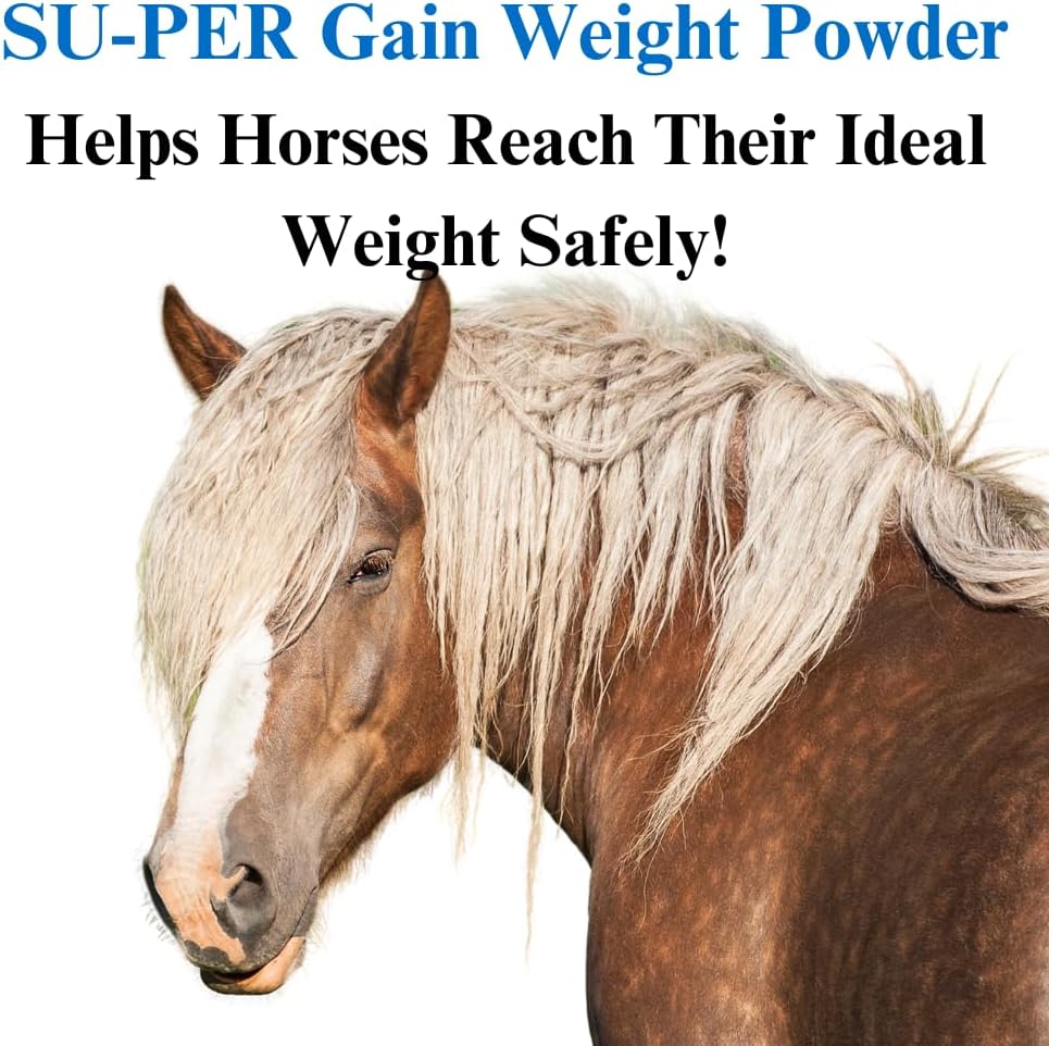 SU-PER Gain Weight for Horses - Equine Supplement Weight Gainer for Horses - Promotes Lean Muscle Mass, Digestion & Appetite - 25 Pound, 4 Month Supply