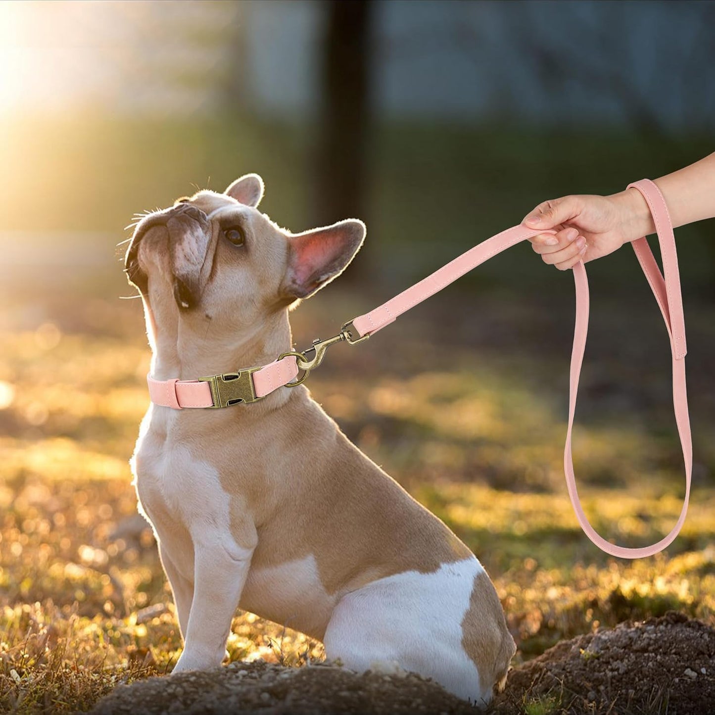 Didog Soft PU Leather Dog Collar, Stylish Quick Released Dog Collars for Medium Dogs, Easy Clean Adjustable Pet Collar for Daily Walking, Pink, M Fit 13-21" Neck