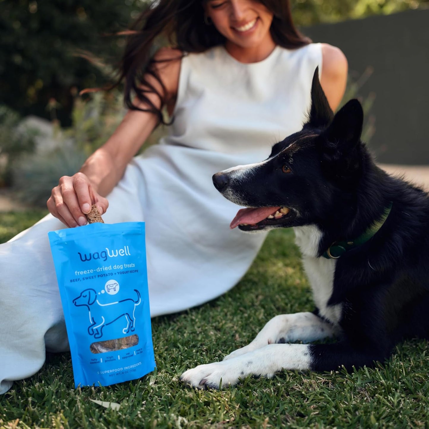 WagWell Freeze-Dried Treats - Beef, Sweet Potato, + Yogurt Recipe - Fully Cooked, High Protein Made in The USA - Minimally Processed & Vet Approved - Pack of 2