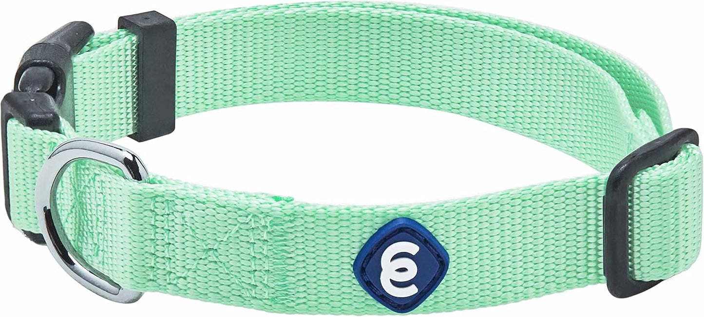 Blueberry Pet Essentials Dog Collar | Adjustable Girl Dog Collars for Medium Dogs | Pastel Green Puppy Collar | Classic Nylon Dog Collars for Small Dogs | Pet Accessories
