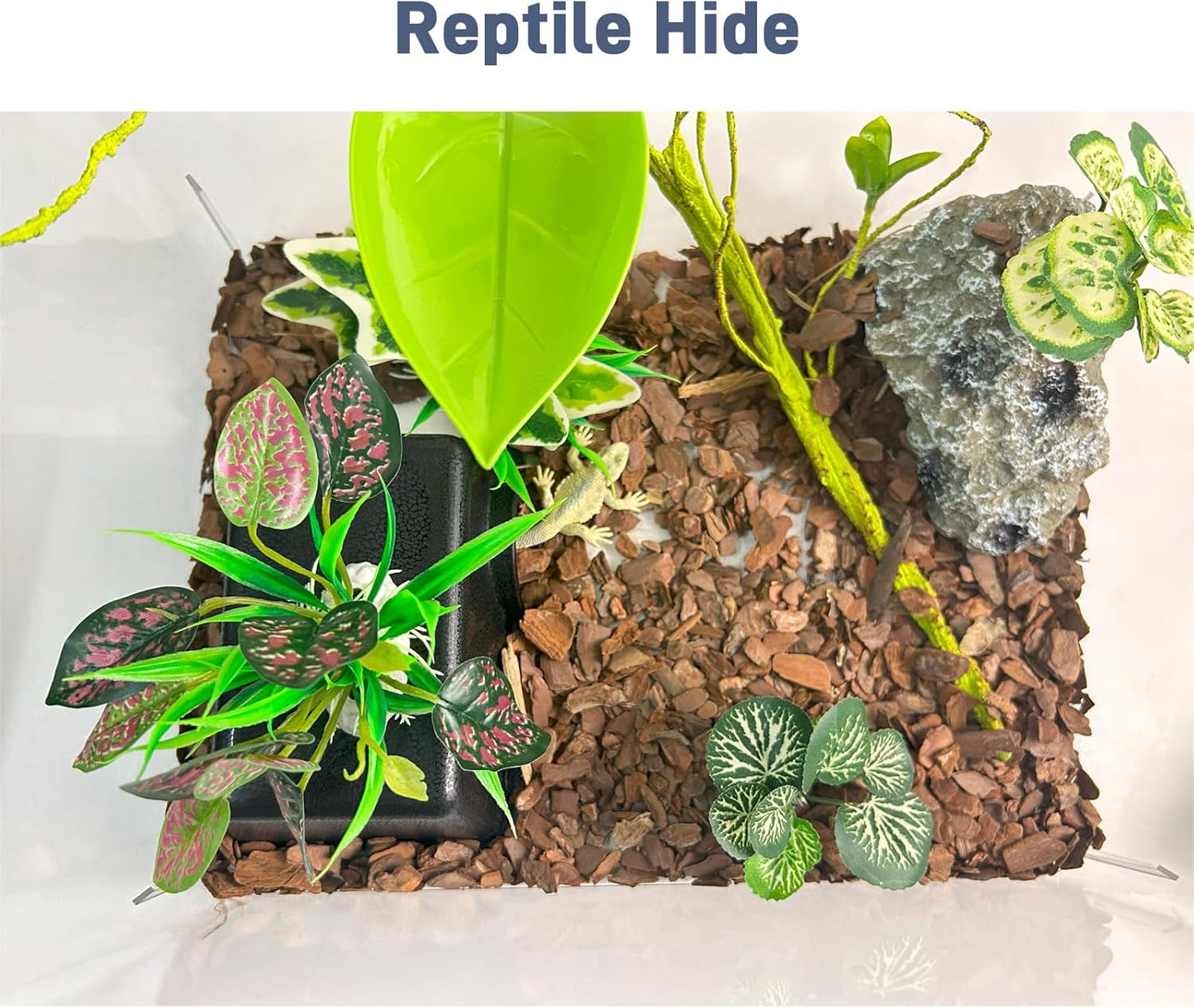 Small 2 Pcs Humid Hideout Cave for Reptiles, Snake Hide for Ball Pythons, Gecko Hide, Leopard Geckos, Bearded Dragons,Compact Terrarium Decor with Easy-Clean Design (6.70"x4.72"x2.56")