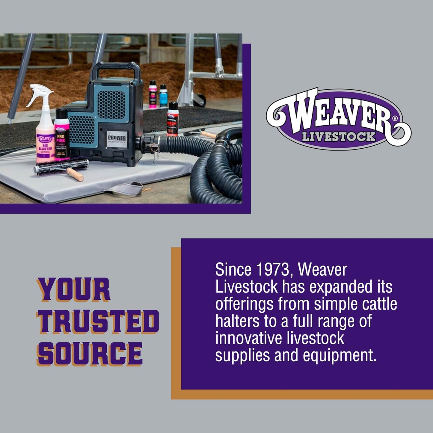 Weaver Leather Livestock Poly Rope Sheep Halter, Black