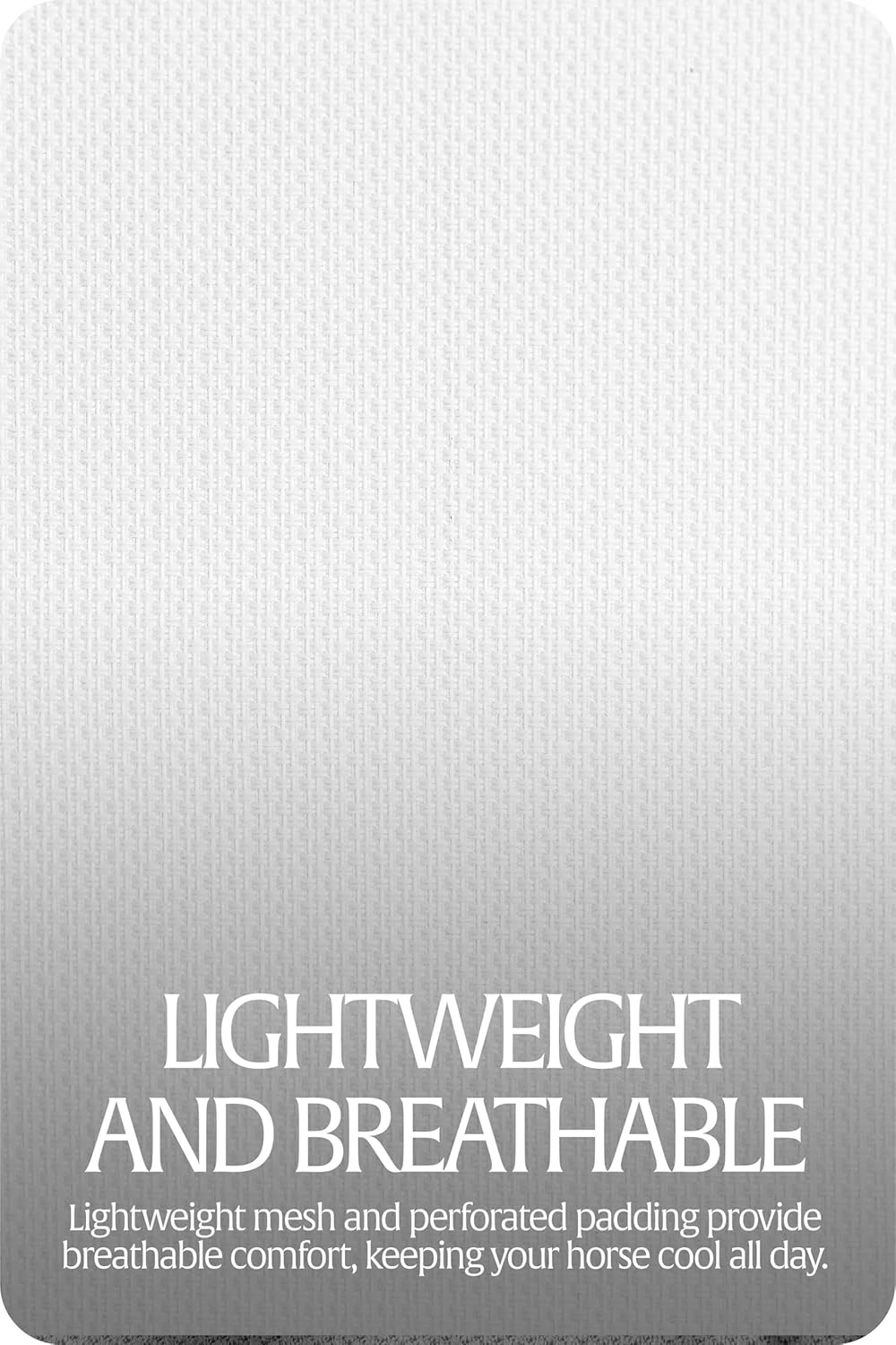 Equinavia Algard Soft Mesh Horse Fly Mask with Ear Protection and 45 UPF Rating | No Eye Irritation & UV Protection - Silver - Horse