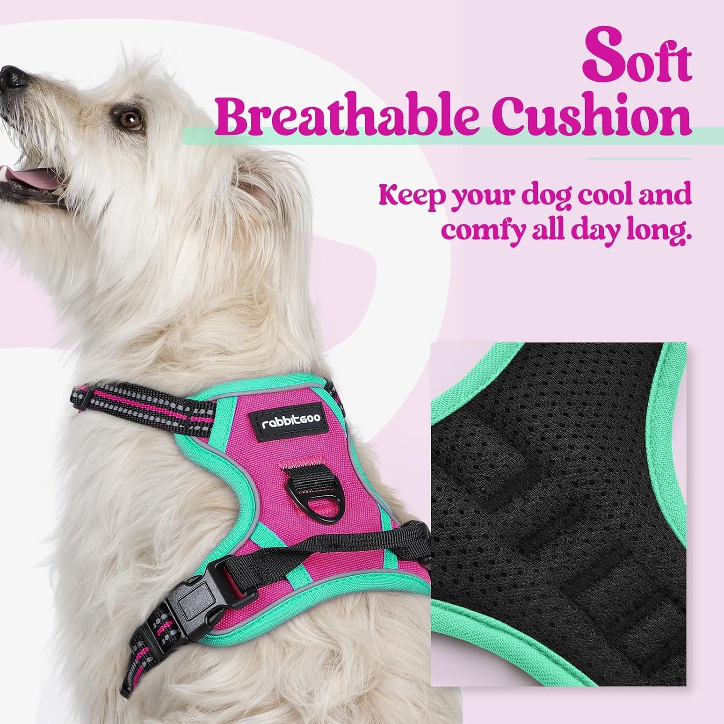 rabbitgoo Dog Harness No Pull with 2 Leash Clips, Adjustable Soft Padded, Reflective Oxford No Choke Pet Vest with Easy Control Handle for Large Dogs, Hot Pink & Turquoise, XS