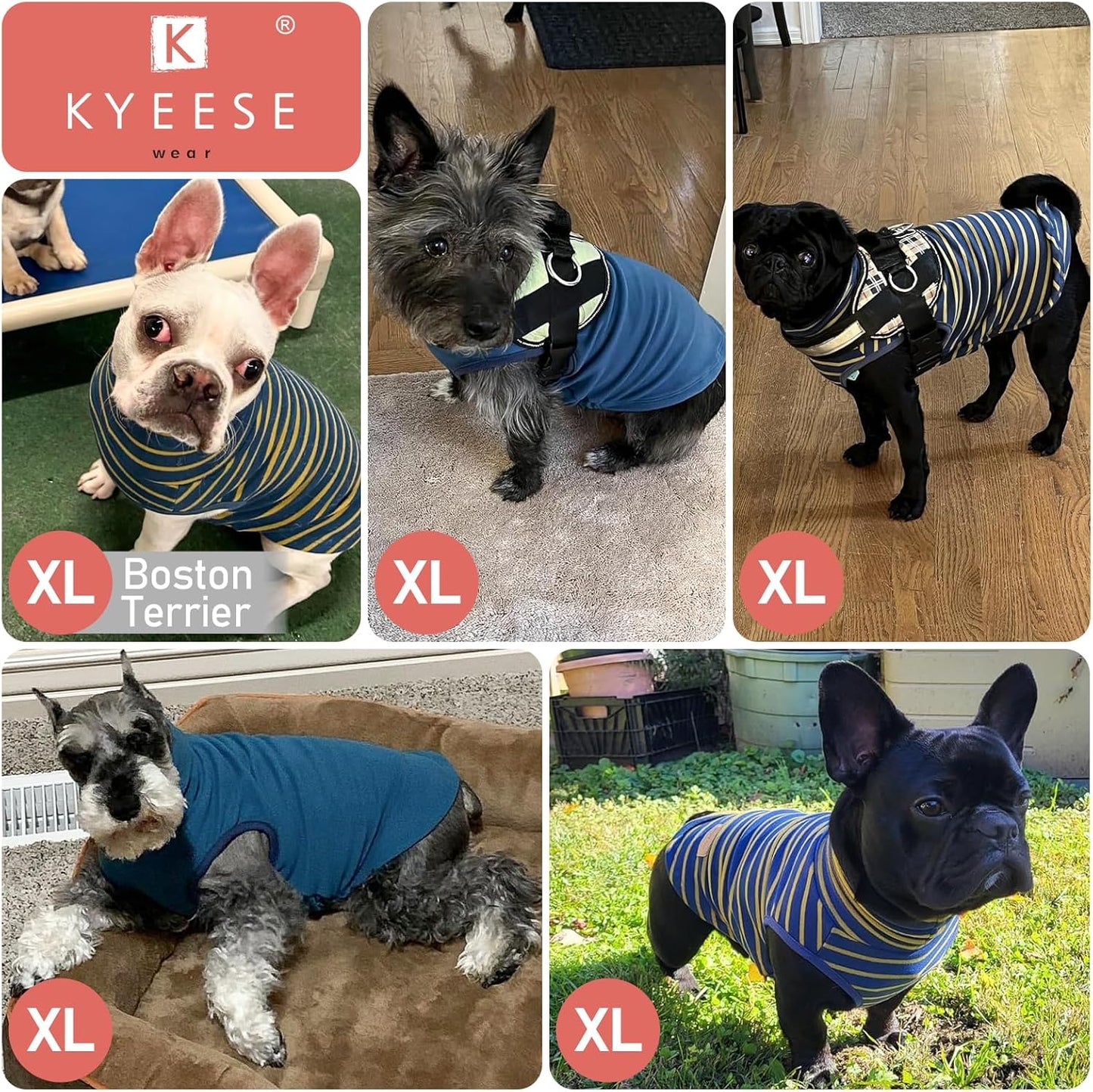 KYEESE 2Pack Dog Sweater Pullover Dog Sweaters for Small Dogs Male Warm Pet Coats Stretchy Dachshund Clothes Soft Pet Sweatshirt Turtleneck Dogs Clothes