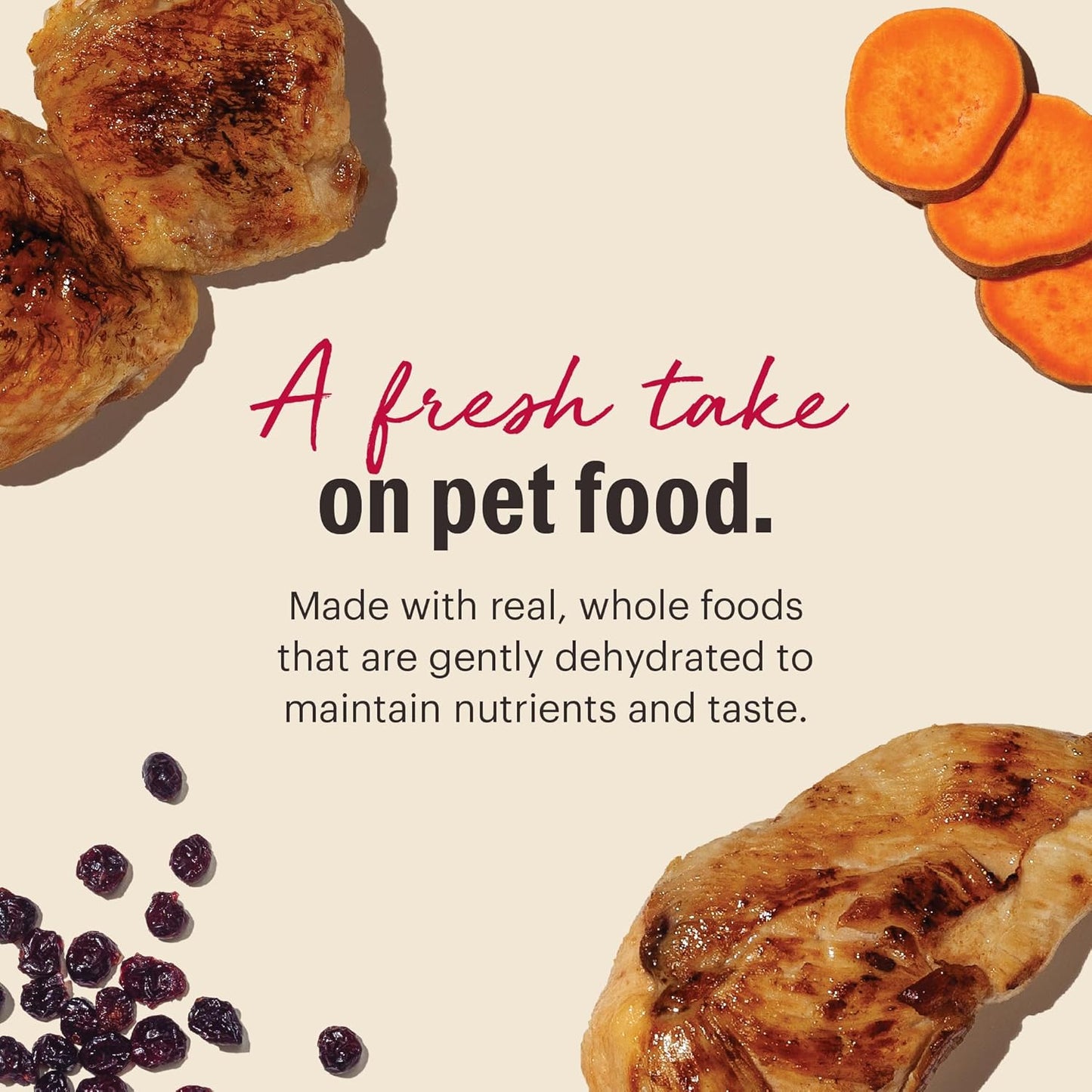 The Honest Kitchen Dehydrated Grain Free Chicken Cat Food 4 Pound (Pack of 1)