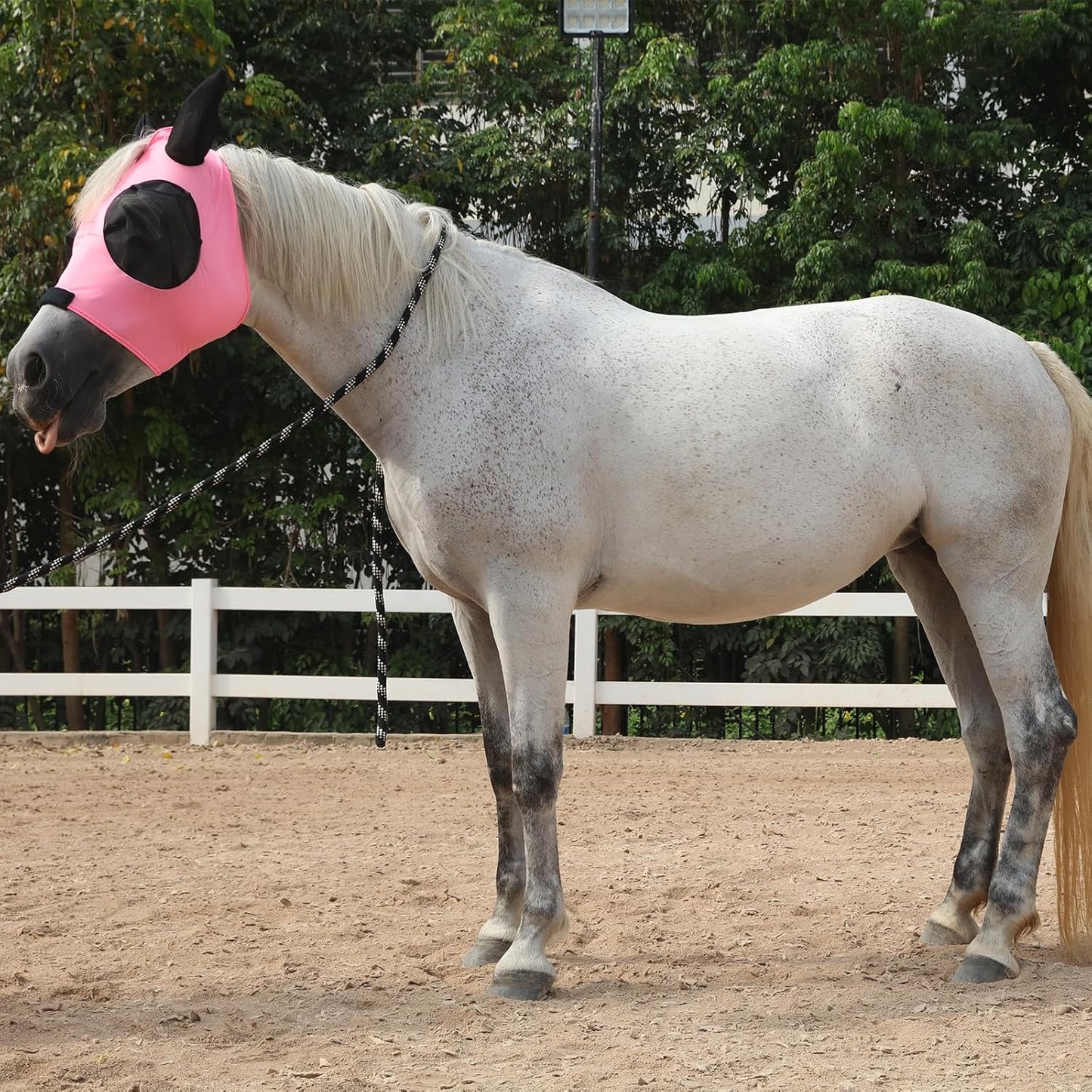 Horse Fly Mask with Ears - Large Eye Space for Full Vision, Breathable Stretch Comfort Fit, UV Protection, Forelock Opening, Easy Pull-On Pink Full