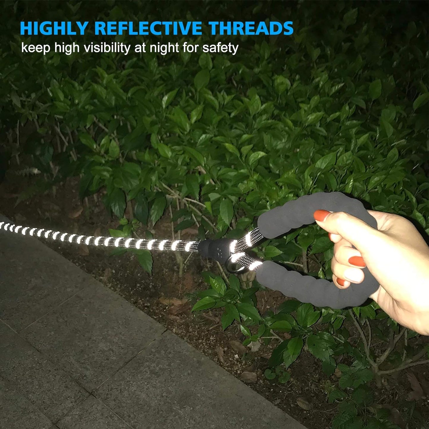 Heavy Duty Dog Leash - Comfortable Padded Handle, 5 ft Long - Dog Leashes for Small Medium Large Dogs (Leash+Collar S Neck 13.5"-16", Black)