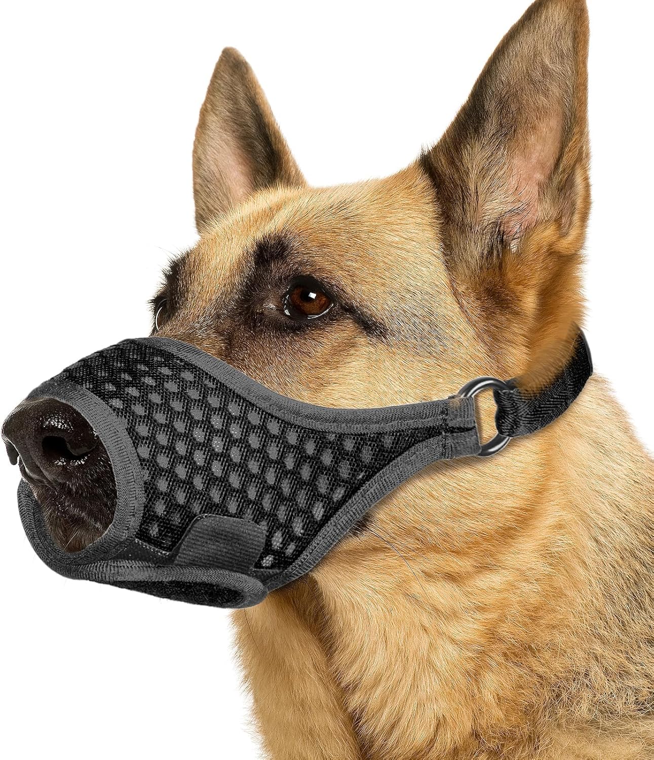 LUCKYPAW Soft Muzzle for Medium Large Sized Dogs Beagle Labrador German Shepherds, Dog Muzzle to Prevent Biting Chewing, Adjustable Breathable Mouth Guard for Grooming Walking Training(Black, M)