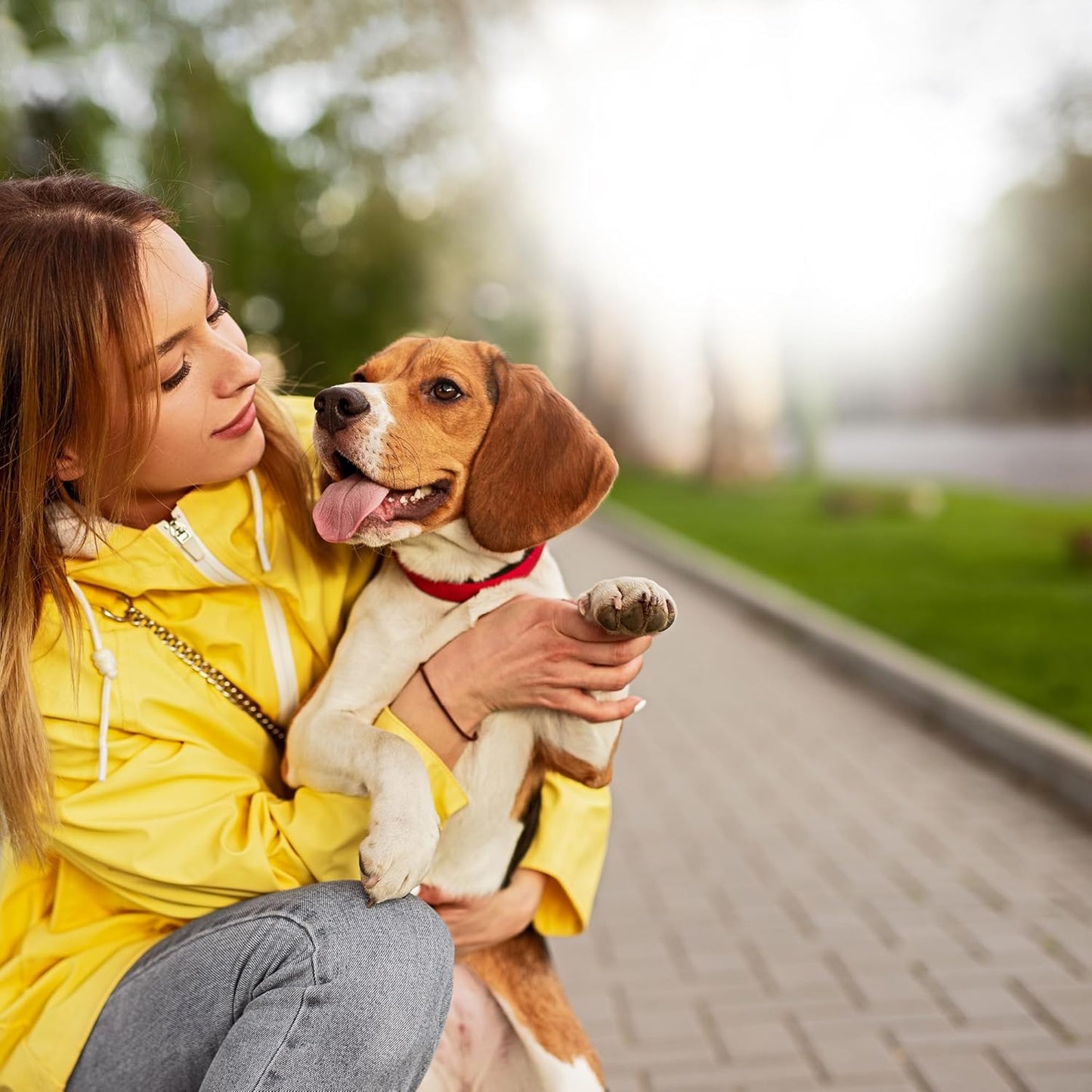 Vetramil® Auris – Natural Ear Care for Dogs & Cats – Soothes Irritation and Supports Healthy Ears – Medical-Grade Honey with Essential Oils – Non-Sticky – 1.69 oz (50 ml)