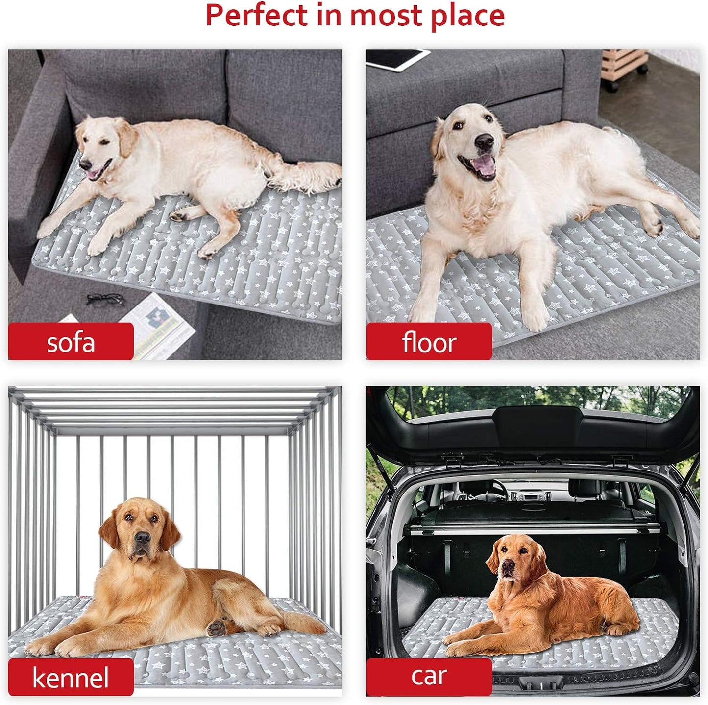 Dog Crate Mat (42" X 28") 2 Pack, Soft Dog Bed Mat with Cute Prints, Personalized Crate Pad, Anti-Slip Bottom, Machine Washable Kennel Pad, Grey