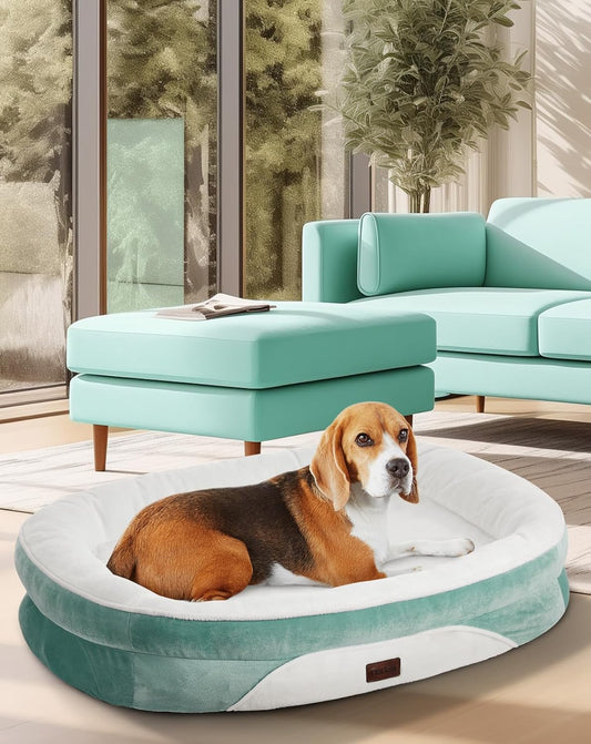 OhGeni Orthopedic Dog Couch Pet Sofa Large Sized Cat Beds with Comfort Foam Support, Soft Comfortable Fabric, Machine Washable Waterproof Removable Cover, 35-Inch (Turquoise)