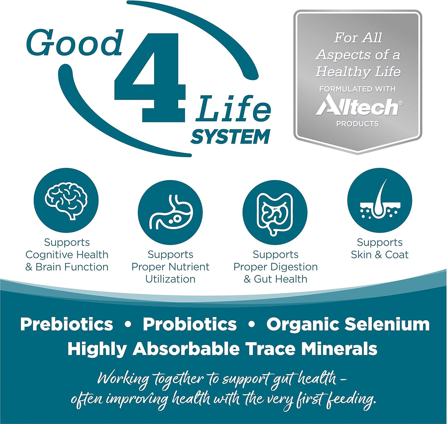 NutriSource Adult Dog Food, Made with Chicken and Rice, with Wholesome Grains, 30LB, Dry Dog Food