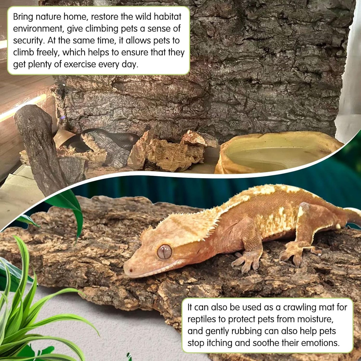 kathson 8Pcs Cork Tile Background Bark 11.8”Lx7.9”W Reptile Tank Background Terrarium Backdrop Wall Decor Natural Reptile Climbing Mat for Spider Gecko Lizard Chameleon Bearded Dragon Turtle Snake