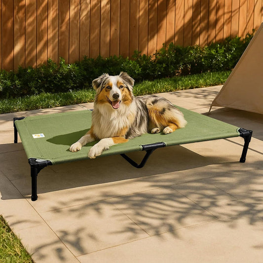 Sytopia Canvas Elevated Dog Bed, Durable Chew Proof Outdoor Raised Pet Cot for Large Dogs, Waterproof, Breathable, Portable, Washable, Easy Assembly, Sturdy Frame for Camping & Travel, Green