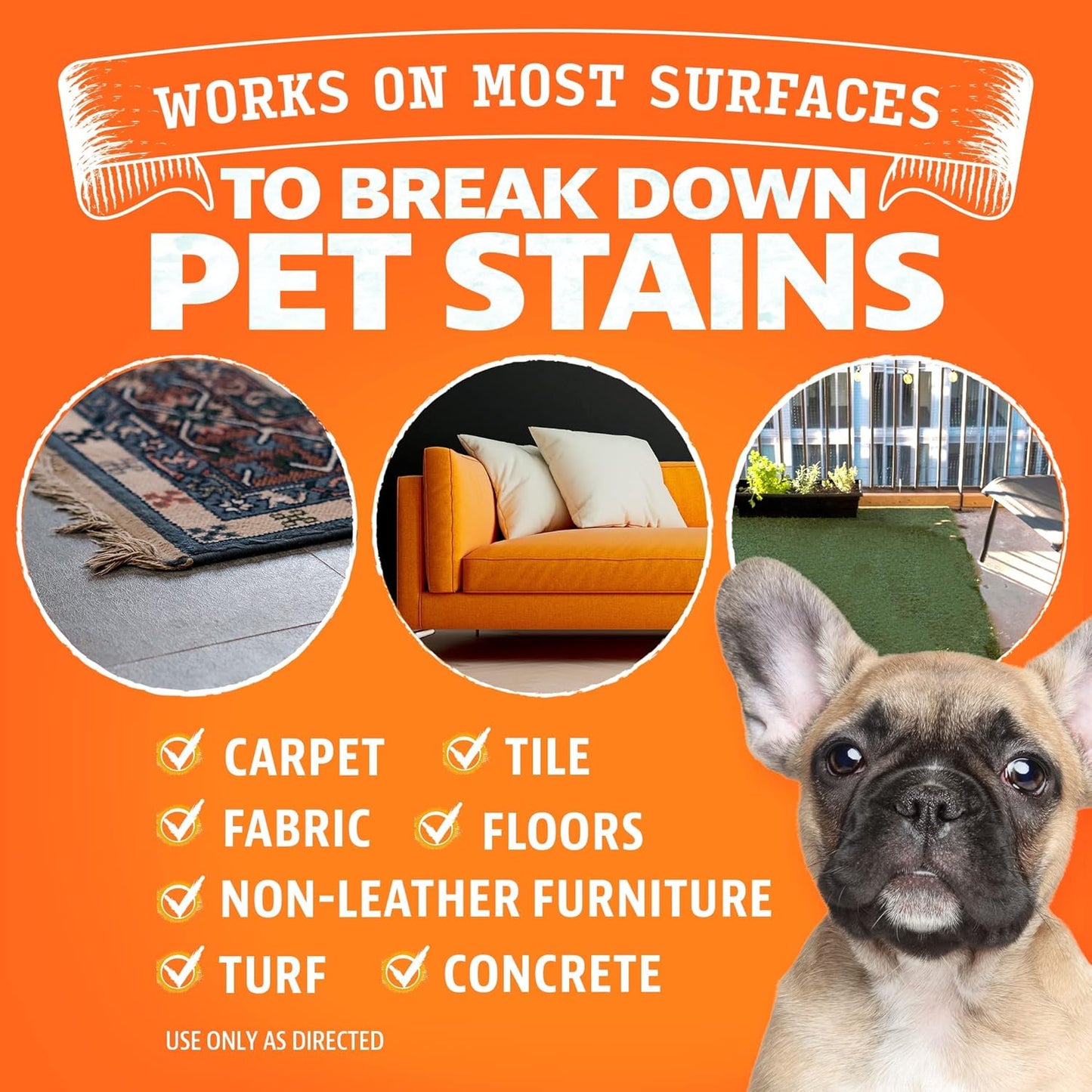 ANGRY ORANGE Pet Stain Remover Kit for Dog Urine - Enzyme Cleaner - Citrus - 32 oz + UV Flashlight