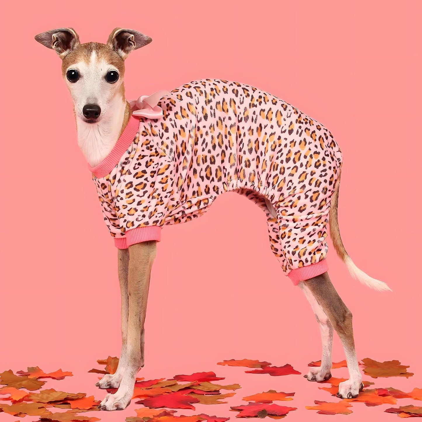 Fitwarm Leopard Dog Pajamas, Fleece Dog Clothes for Small Dogs Girl with Legs, Pet Onesie, Cat Outfit, Pink, Medium