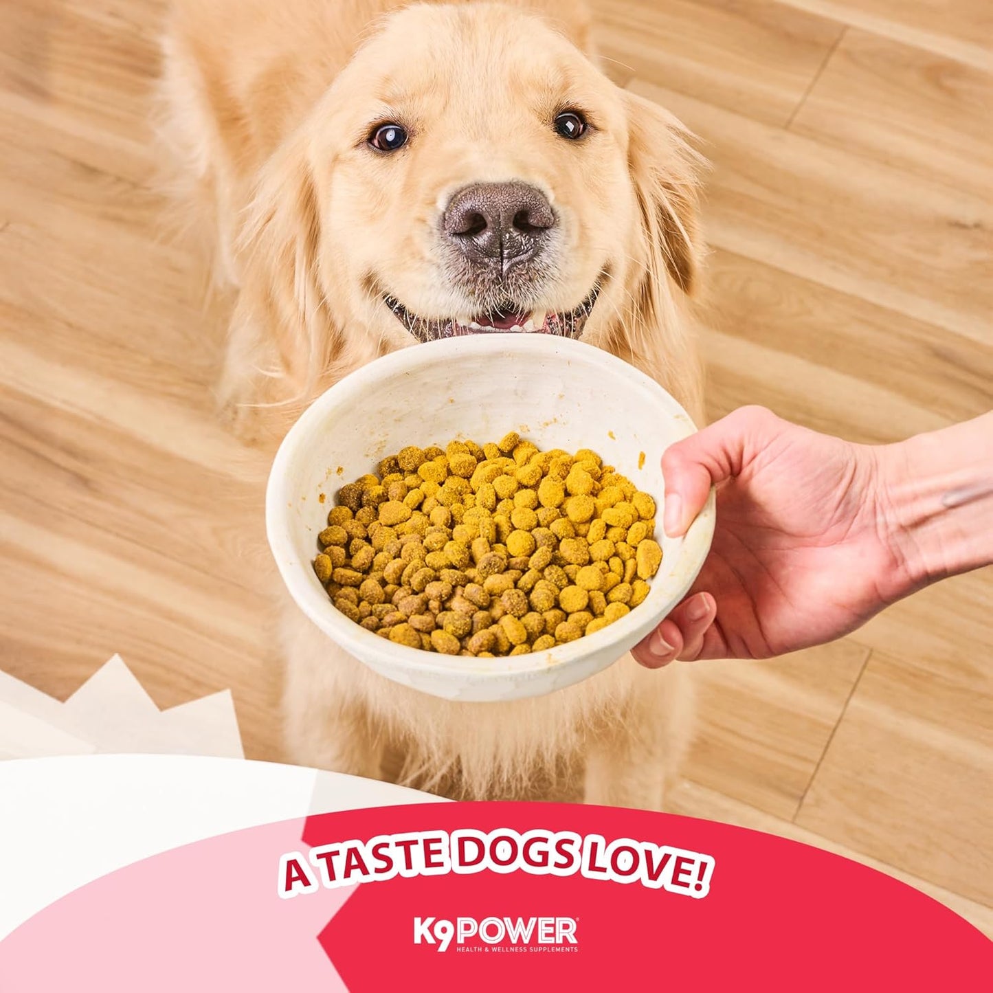 K9 Power Young at Heart Senior Dog Multivitamin 1 lb – Supplement for Brain Heart, Vision & Mobility Support in Senior Dogs - Pack of 2