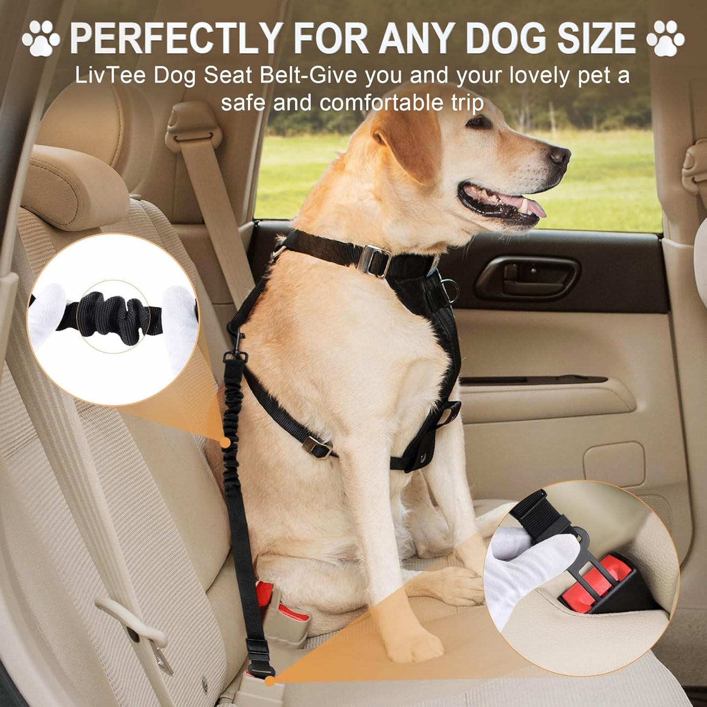 LivTee Dog Seat Belt for Car, Retractable Pet Safety Harness, Adjustable Nylon Dog Seatbelt Leash, Comfortable Dog Accessories for Vehicles (Black-2PCS)