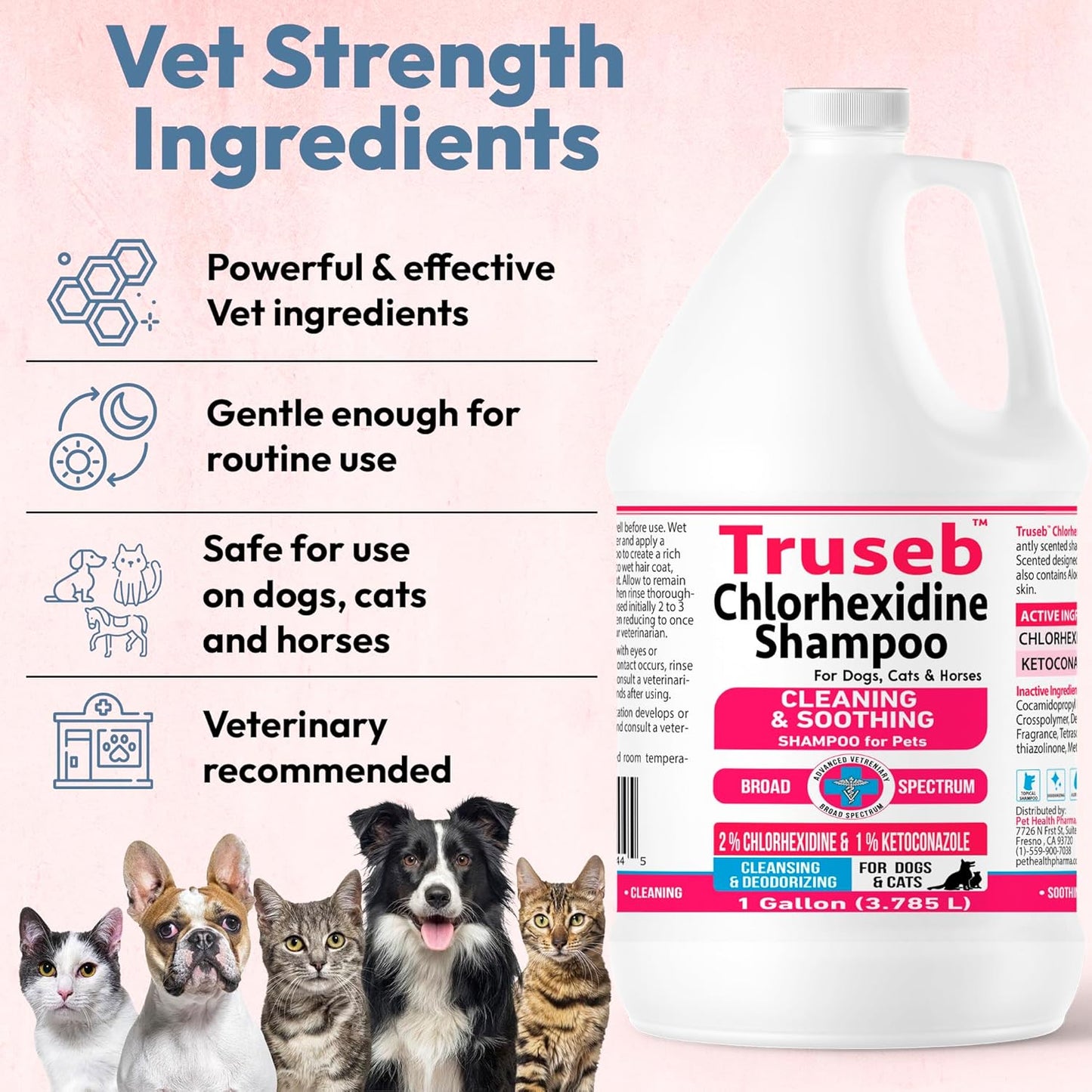 Truseb Topical Ketoconazole and Chlorhexidine Shampoo for Dogs, Cats & Horses Pleasantly Scented with a Cucumber Melon Scent with Aloe (Ketoconazole & Chlorhexidine Shampoo, 1 Gallon)