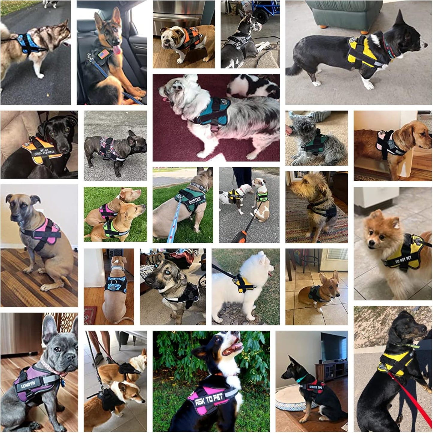 Bolux Dog Harness, No-Pull Reflective Dog Vest, Breathable Adjustable Pet Harness with Handle for Outdoor Walking - No More Pulling, Tugging or Choking (Black, M)