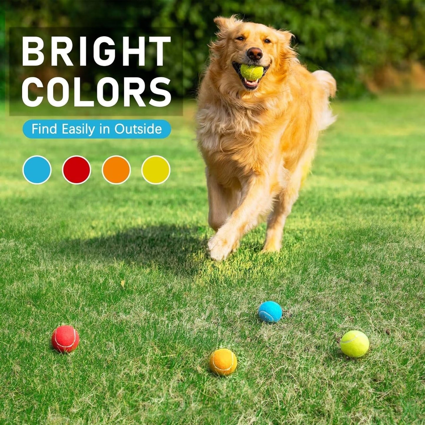 Prime Pets Tennis Balls for Dogs, Non-Squeak, 12 Pack, Thick Bouncy Dog Balls, Dog Toy Balls for Indoor Outdoor Play, Fetch Toys for Medium, Large Dogs