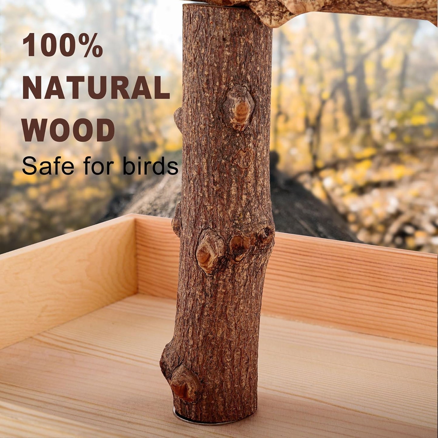 Bird Perch, Portable Tabletop Bird Stand, Training Play T Shaped Stand for Parrot Parakeet Cockatiels Conures Budgies Finch Lovebirds