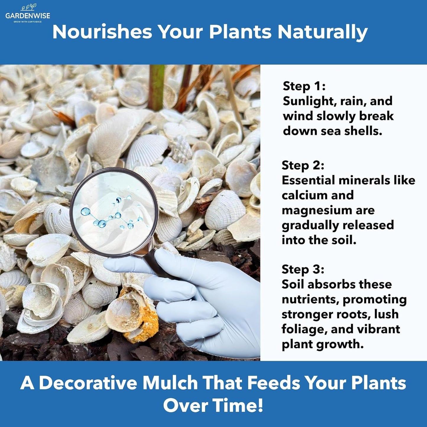 Natural Organic Sea Shell Mulch for Gardens and Landscaping – Decorative and Nutrient-Rich, 0.5–3-Inch Shells, Perfect for Indoor and Outdoor Use (0.5 CF - 14 L - 15 QTS)