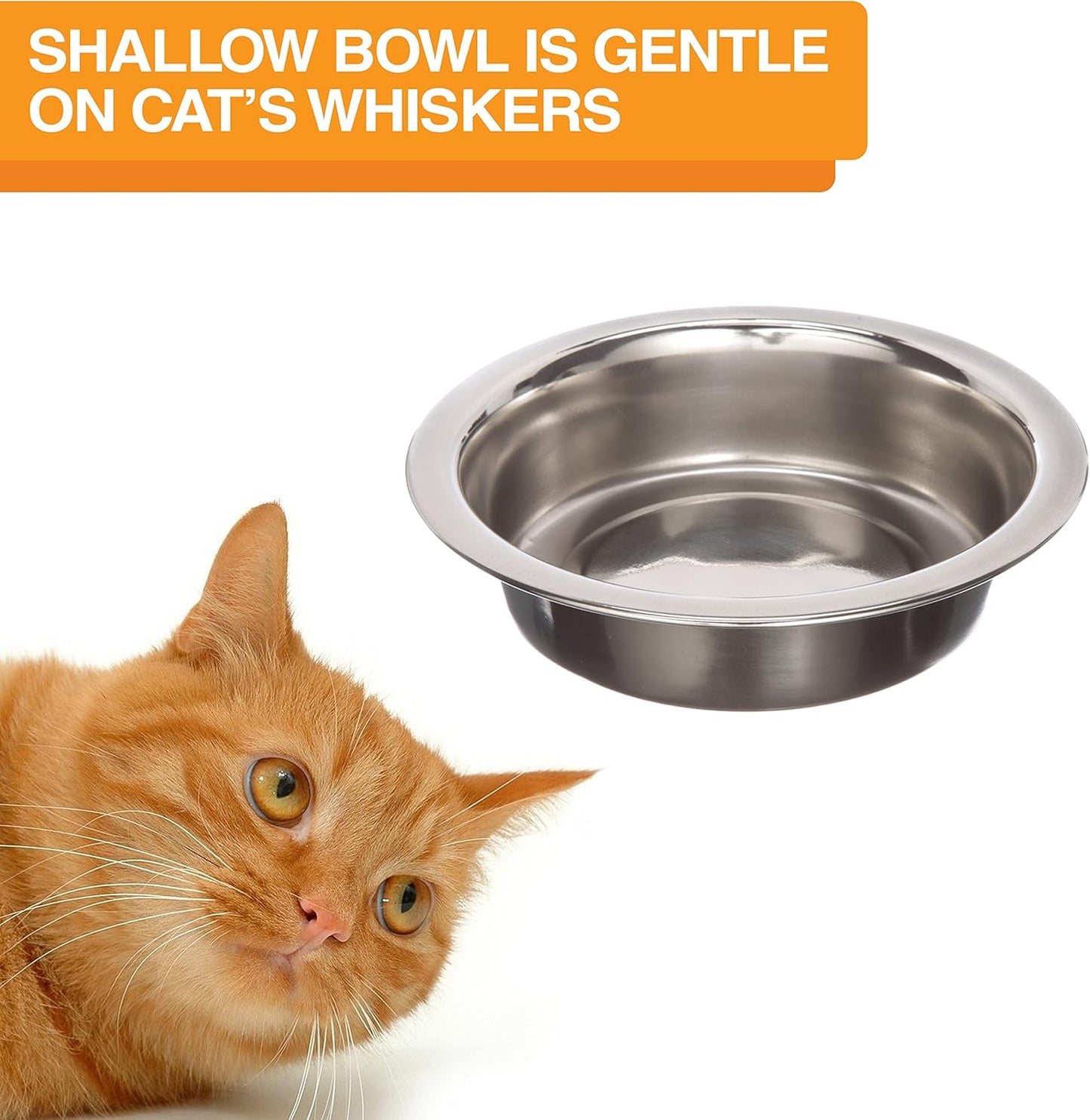Neater Feeder Deluxe Mess Proof Cat Bowls Elevated for All Breeds – Made in USA – No Spill Raised Cat Bowls for Indoor Cats w/Leg Extensions – Stainless Steel Cat Food and Water Bowl Set - Teal