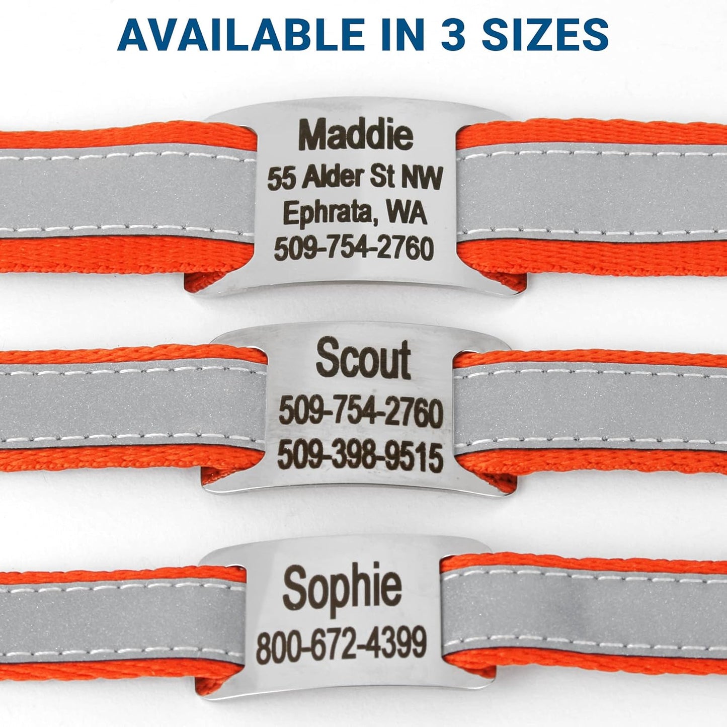 GoTags Reflective Personalized Dog Collar with Nameplate, Adjustable Dog Collar with Custom Engraved Steel Slide On Pet ID Tag, Silent, No Noise Dog Tag for Large Medium or Small (Orange, Small)