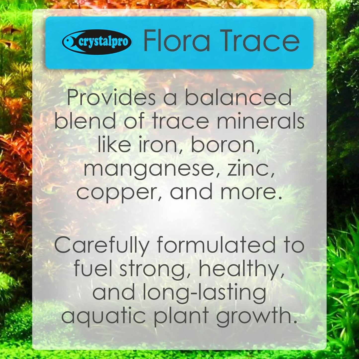 Flora Trace - Trace Element Supplement for Aquarium Plants - Supports Root Development and Mineral Uptake in Freshwater Planted Tanks - Part of The Flora Nutrition Series - 16.9 fl oz