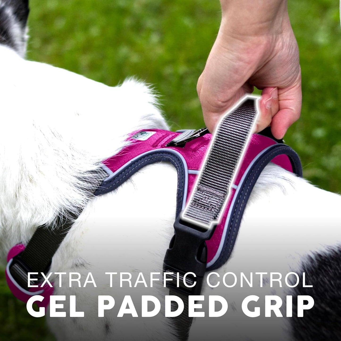 Embark Adventure Dog Harness, No-Pull Reflective Trim Dog Harness for Small, Medium & Large Dogs - Military Grade Nylon, 2 Leash Clips & Gel Lined Handle. Soft & Padded Puppy Dog Vest for Any Breed