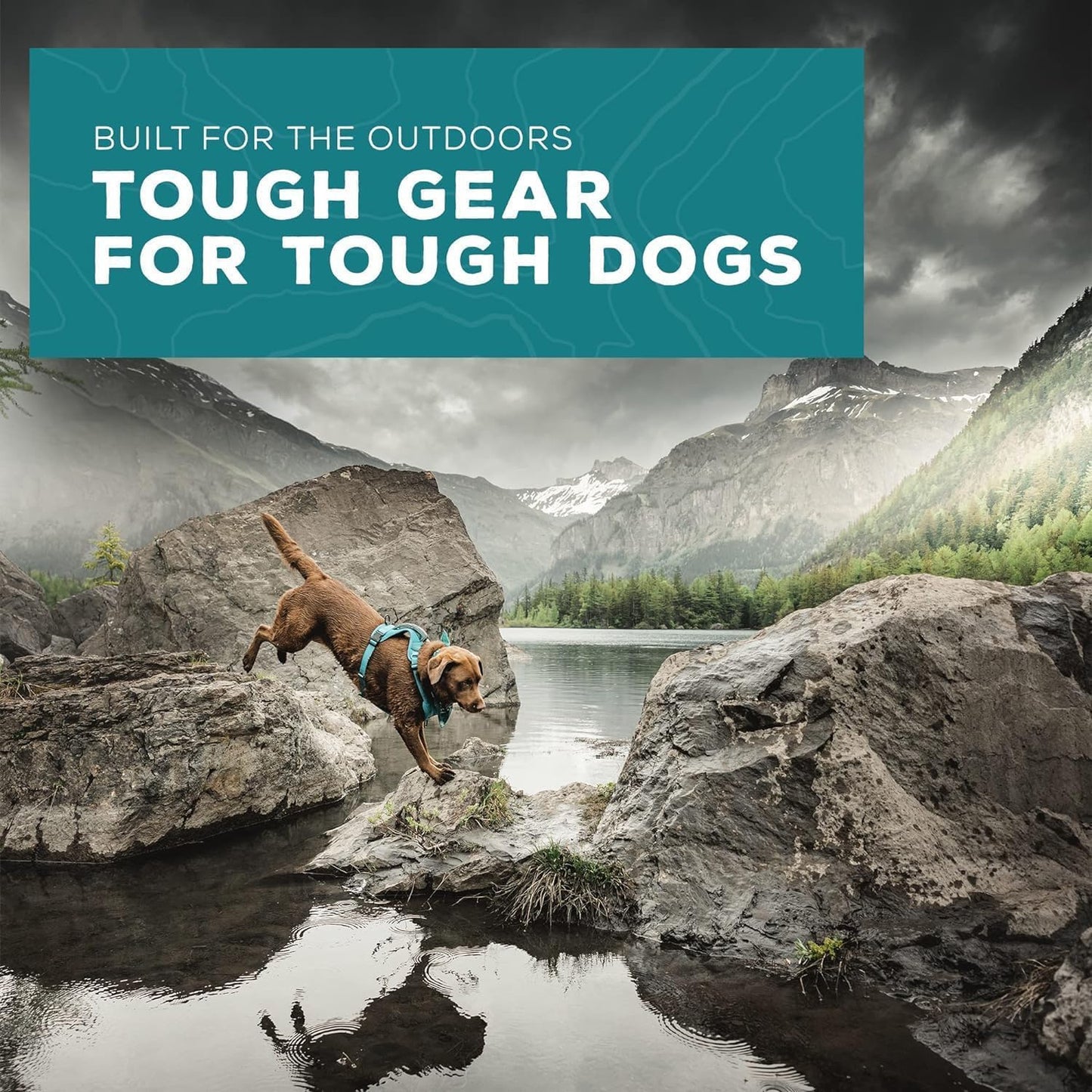 Wilderdog Lightweight Dog Harness with Reflective Straps - Small - Olive