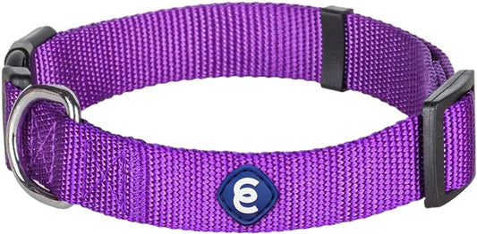 Blueberry Pet Essentials Small Dog Collar | Girl Dog Collars Fall | Female Dog Collar Small | Dark Orchid Dog Collars for Small Dogs | Quick Release Dog Collar | Dark Orchid Nylon Dog Collar