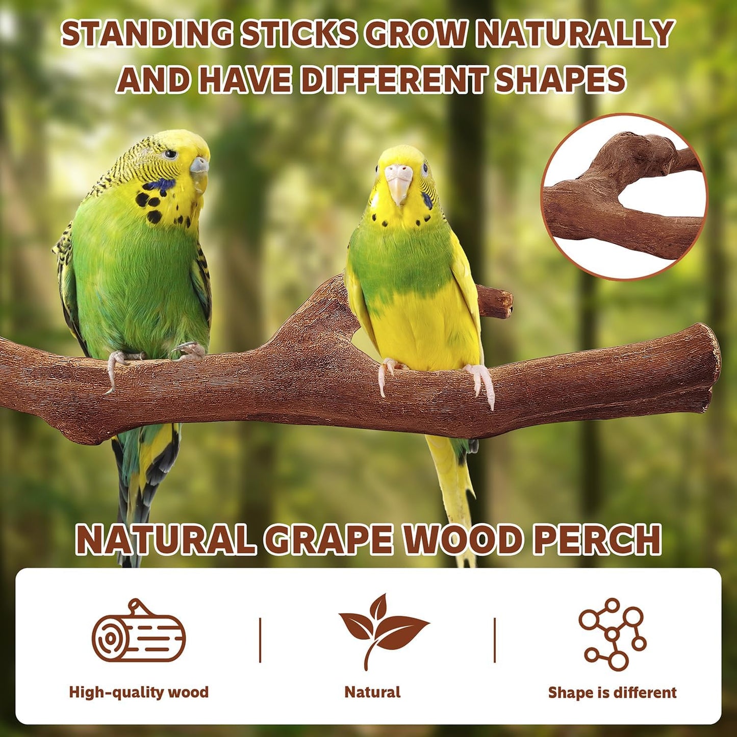 7-Piece Bird Perch Set: 3 Grapevine Paw Grinding Forks, 2 Wood Stands & 2 Hammocks - Cage Accessories for Parakeets, Cockatiels, Conures, Budgies