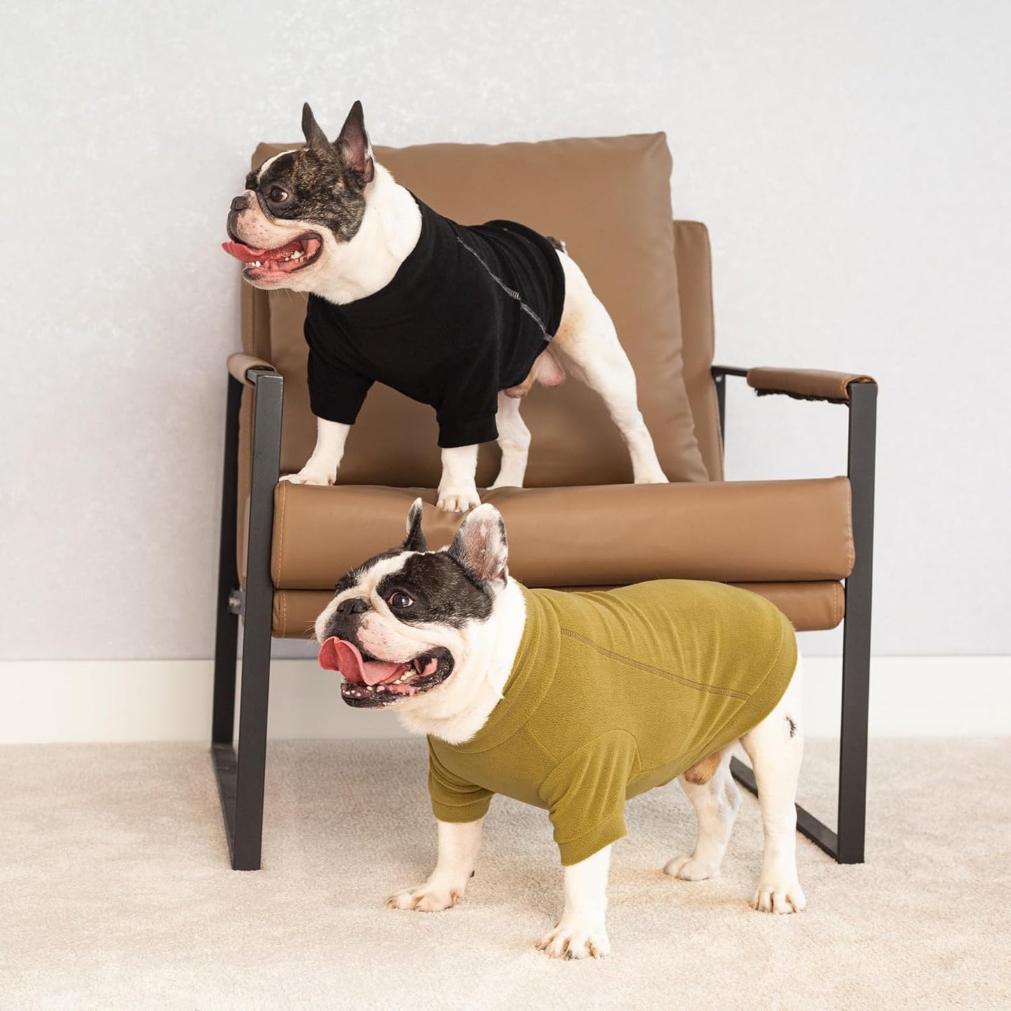 Fitwarm 3 Pack Classic Fleece Dog Sweater, Winter Clothes for Small Dogs Boy Girl, Turtleneck Dog Sweatshirt, Pet Pullover Jumper, Cat Apparel, Black, Olive Green, Cream, XS