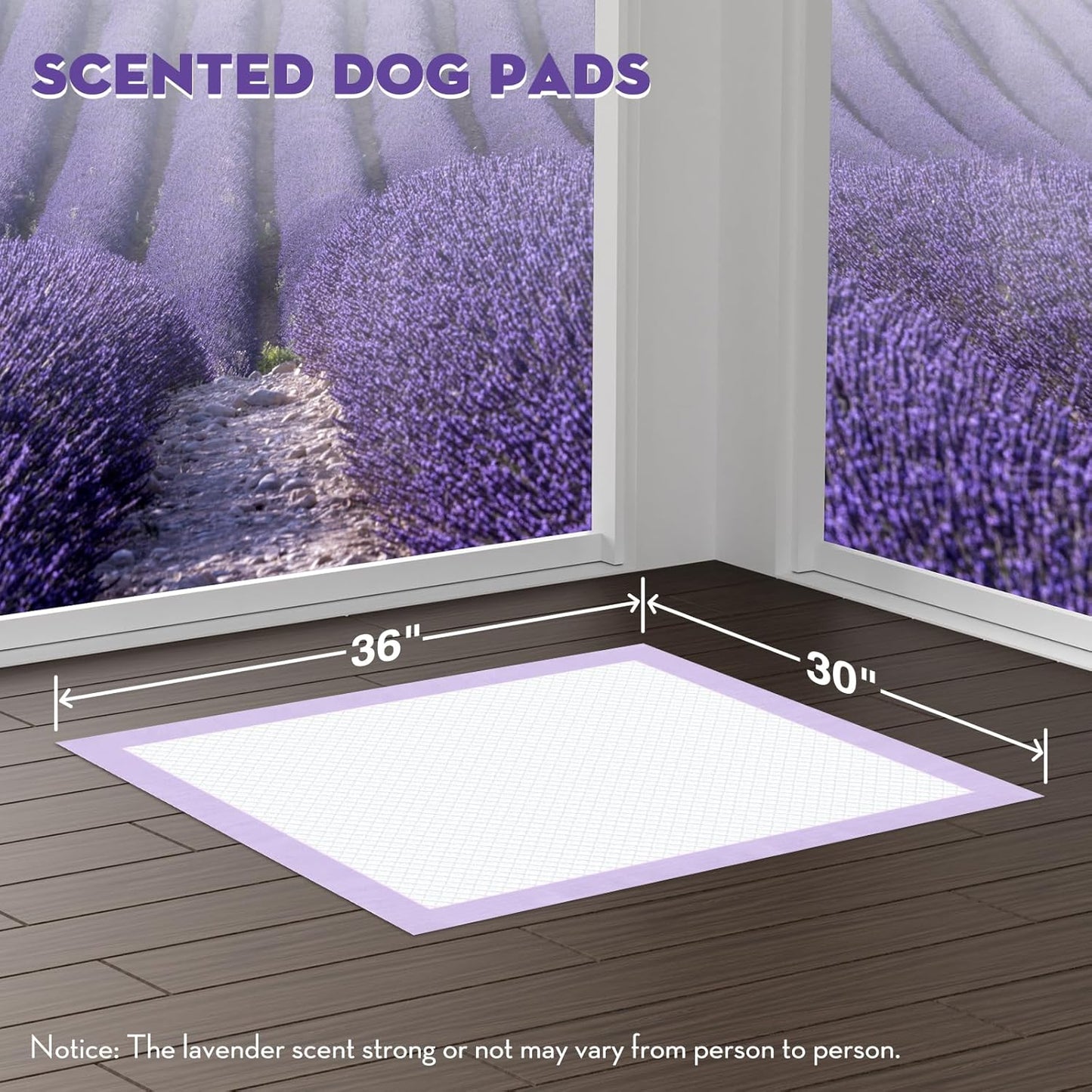 CROCI Dog Pads Extra Large 30x36in, Puppy Pads with Adhesive Tabs Super Absorbent Up to 10 Cups, Disposable (40 Counts)