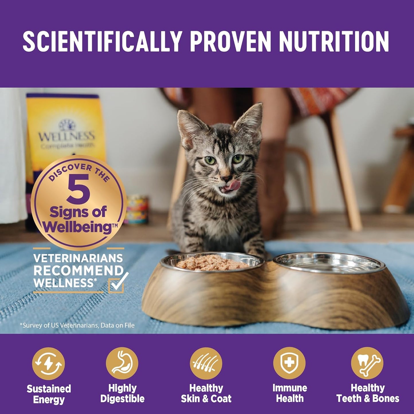 Wellness Complete Health Gravy Adult Wet Cat Food, Natural, Protein-Rich, Grain Free, 5.5 Ounce, 12 Pack, (Salmon Entree)