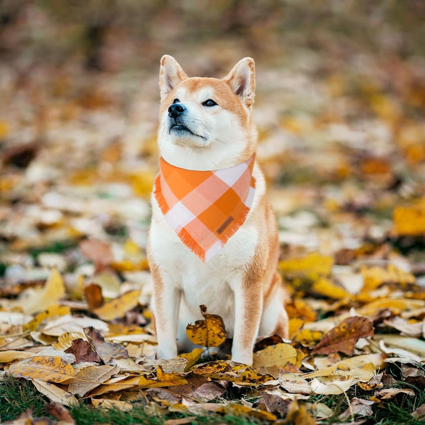 ADOGGYGO Fall Dog Bandanas, Halloween Thanksgiving Pet Bandana, Multiple Sizes Offered, Orange Plaid Fall Holiday Bandana for Medium Large Dogs Pets (Large)