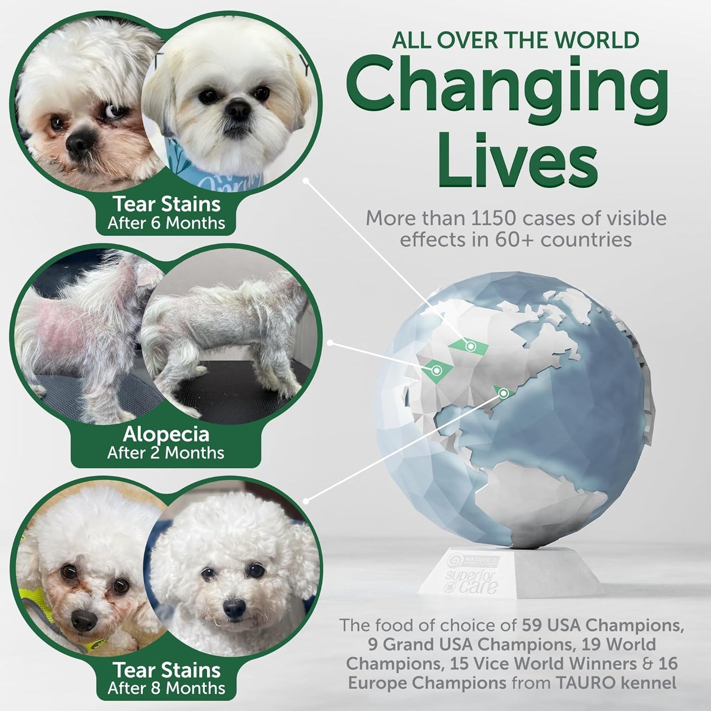 Nature's Protection Dry Dog Food for Small Breed - High Protein, Grain-Free, Anti-Tear Stain Diet for White & Light Fur Adult Dogs, Small Bites Kibble (Superior Care - White Fish, 3.3 lb)