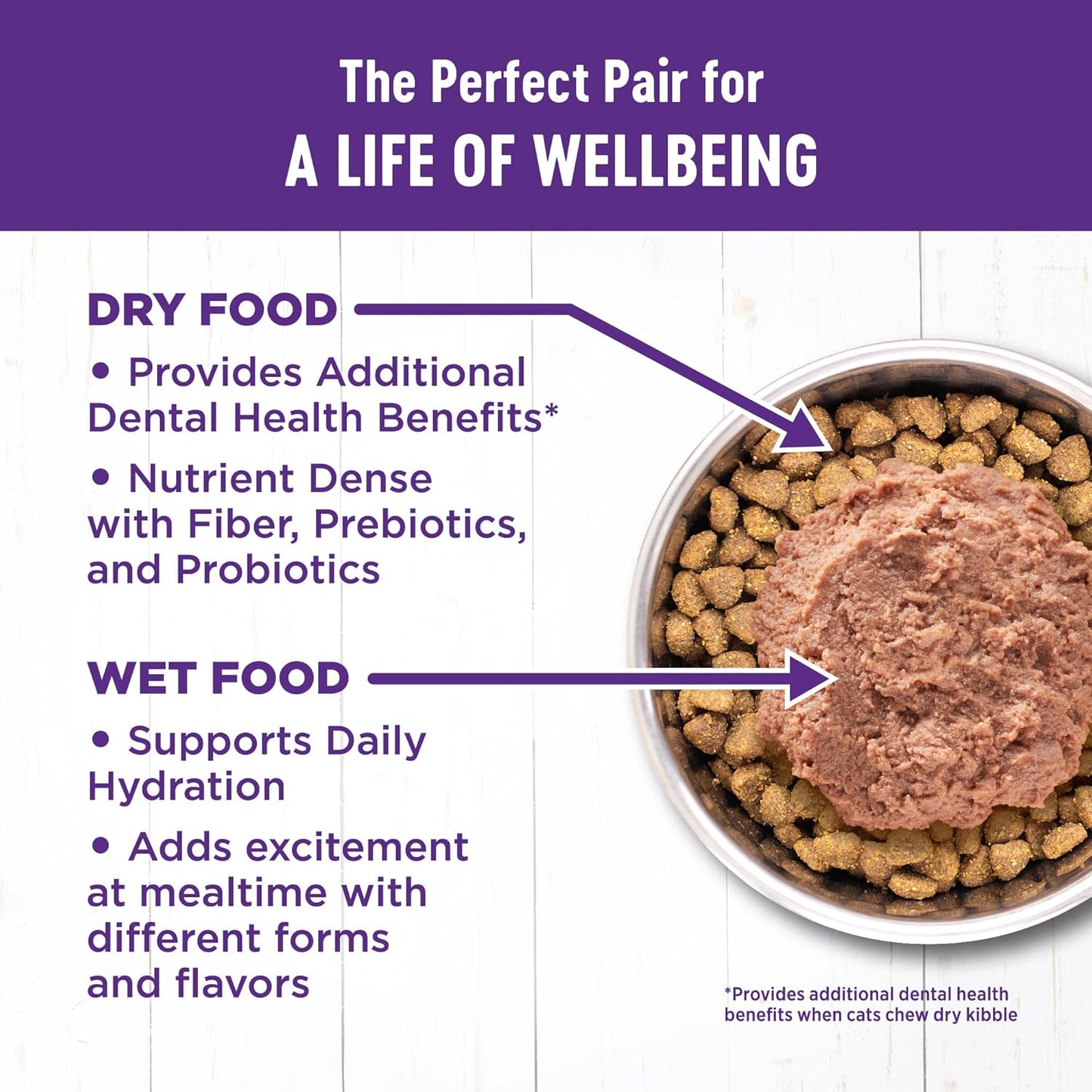 Wellness Complete Health Pate Adult Wet Cat Food, Natural, Protein-Rich, Grain Free, 3 Ounce, 24 Pack, (Beef & Chicken)