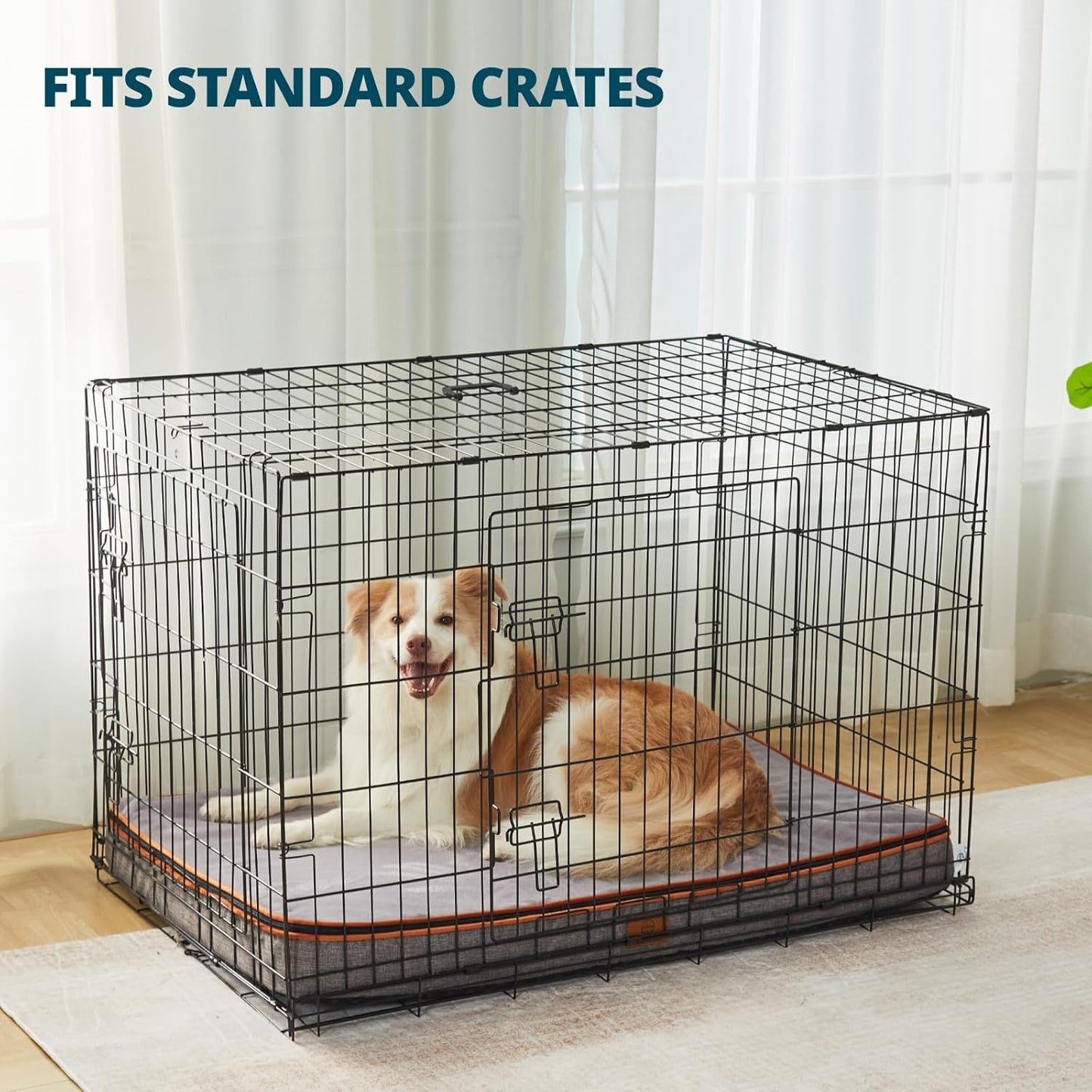 Memory Foam XL Dog Bed - 4” Thick Orthopedic Beds for Extra Large Dogs - Waterproof Dog Bed with Removable Washable Cover & Wrap-Around Zipper - Ultimate Comfort and Easy Maintenance