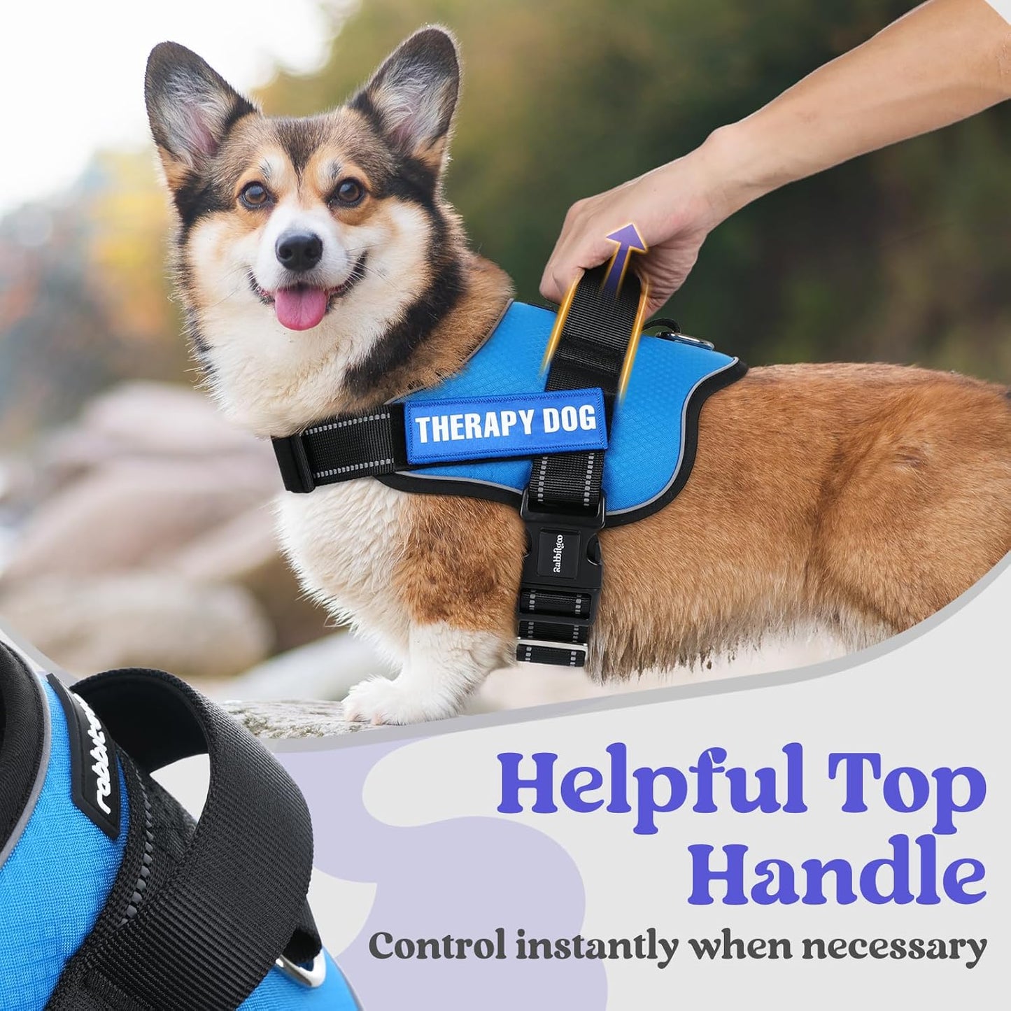 rabbitgoo Dog Harness Medium Sized, Easy On Pet Vest with One Buckle, No Pull Adjustable Service Harness with D-Ring & Handle, Reflective for Safety Walking, Training, Blue, M
