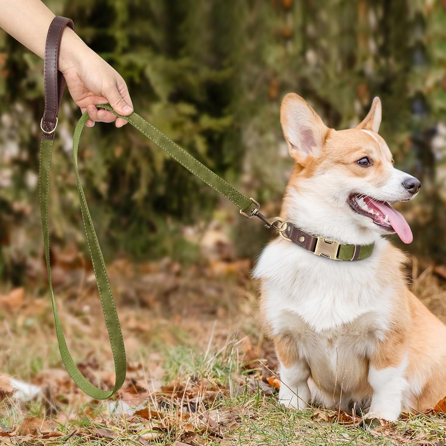 Didog Soft PU Leather Dog Collars for Small Dogs,Classic Adjustable Dog Collars with Quick Release Metal Buckle,Easy Clean and Comfortable with Nylon Lining,Olive Green,S Neck 10-15"