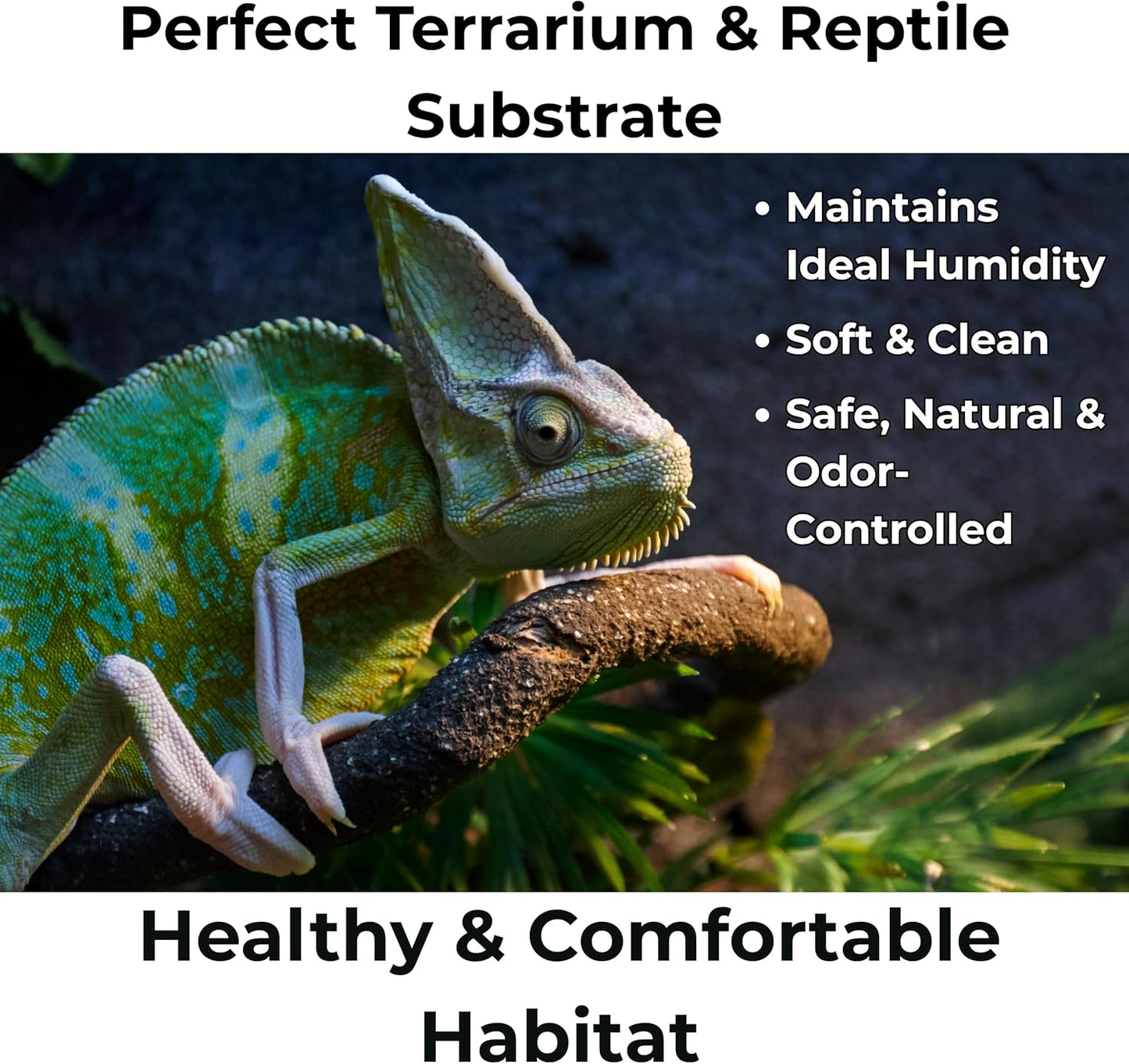 Peat Moss for Plants – Organic Sphagnum Peat Moss for Orchids, Terrariums, Seed Starting, Reptiles & Potting Soil Mix (20 quarts)